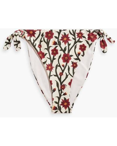 Agua Bendita Rabutan Floral-print High-rise Bikini Briefs - White