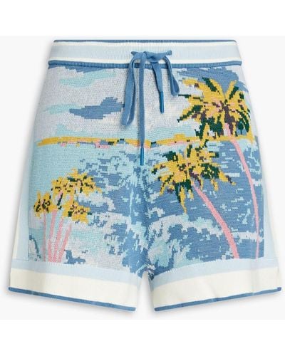 Zimmermann Intarsia-knit Cotton Shorts - Blue