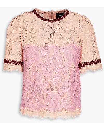 Dolce & Gabbana Layered Cotton-blend Corded Lace Blouse - Pink