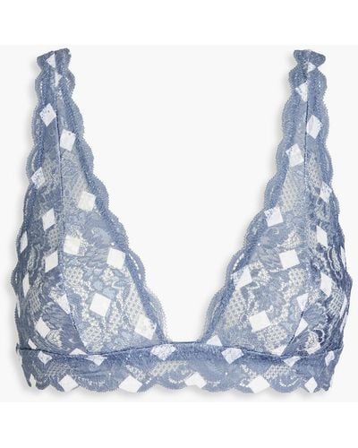 Cosabella Never Say Never Printed Stretch-lace Bralette - Blue