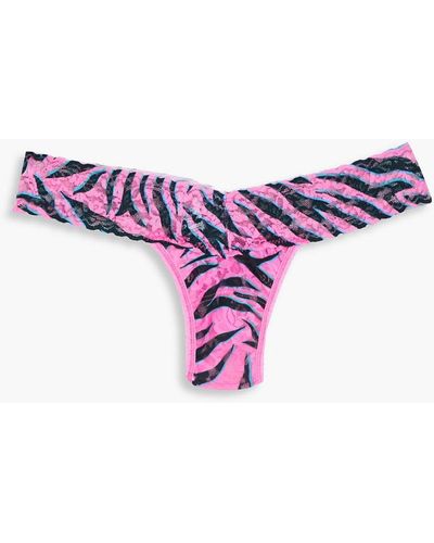 Hanky Panky Zebra-print Stretch-lace Low-rise Thong - Purple