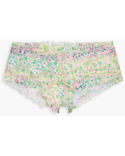 Hanky Panky Floral-print Stretch-lace Low-rise Briefs - Green
