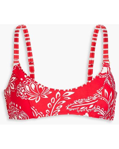 Seafolly Sienna Printed Bandeau Bikini Top - Red