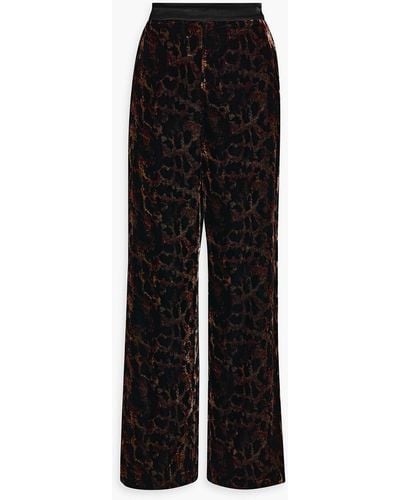 Diane von Furstenberg Montreal Leopard-print Velvet Wide-leg Pants - Black
