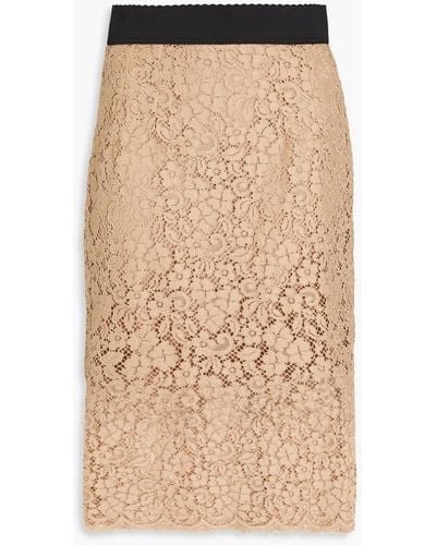Dolce & Gabbana Cotton-blend Corded Lace Pencil Skirt - Brown