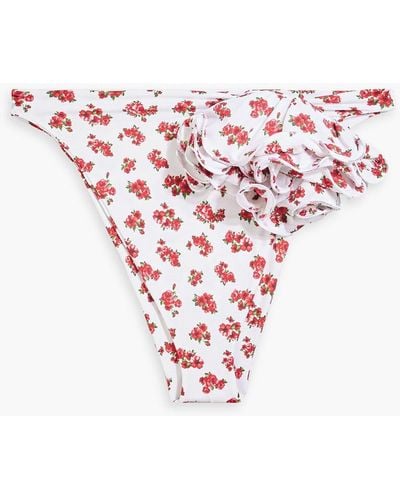 Magda Butrym Ruffled Floral-print Low-rise Bikini Briefs - Pink