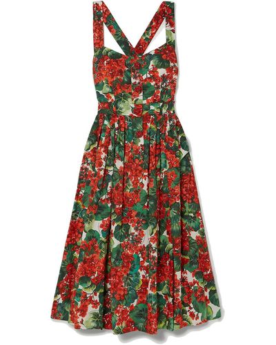 Dolce & Gabbana Pleated Floral-print Cotton-blend Poplin Midi Dress - Red