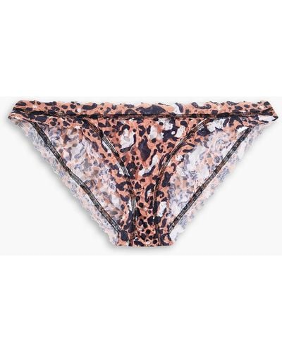 Hanky Panky Leopard-print Stretch-lace Low-rise Briefs - Pink