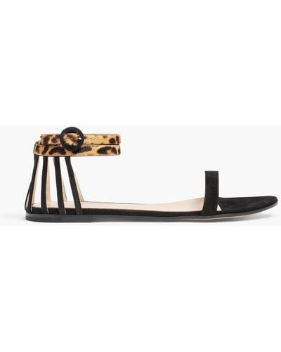 Gianvito Rossi Leopard-print Calf Hair And Suede Sandals - Black