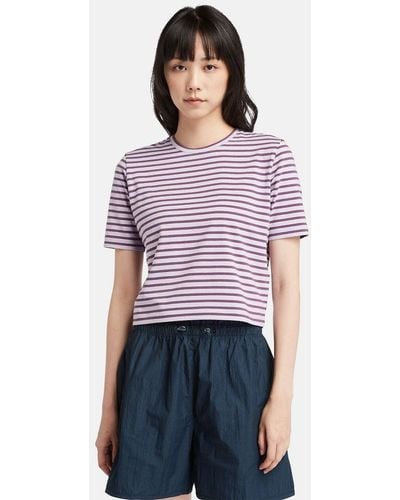 Timberland Stripe Baby T-shirt - Purple