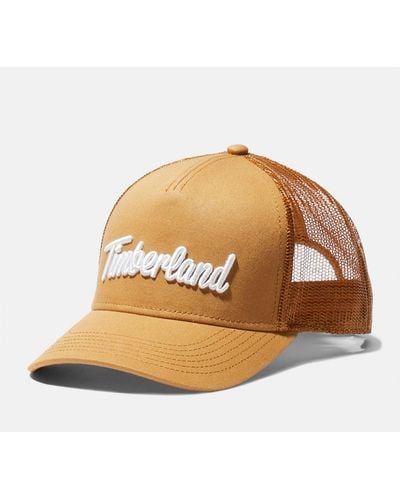 Timberland 3d Embroidery Trucker Hat - Brown
