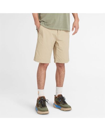 Timberland Poplin Chino Shorts - Natural