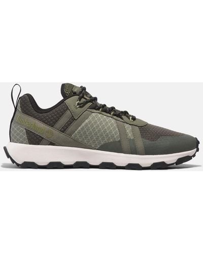 Timberland Winsor Trail Lace-up Low Trainer - Green
