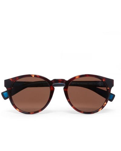 Timberland Advanced Polarised Sunglasses - Brown