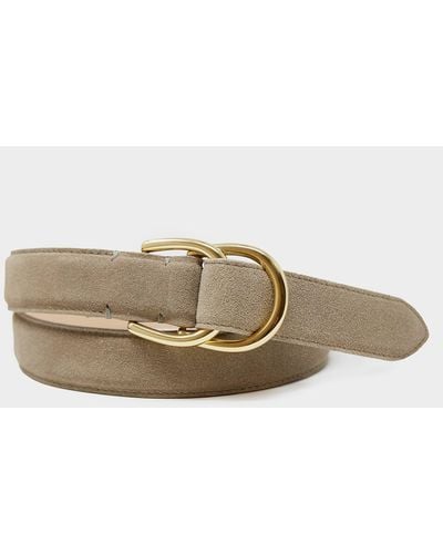 Todd Synder X Champion Classic Suede Dress Belt - Multicolour