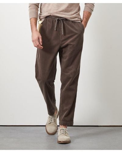 Todd Synder X Champion Wide Wale Corduroy Weekend Pant - Multicolor