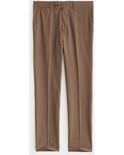 Todd Synder X Champion Italian Sutton Suit Pant - Brown