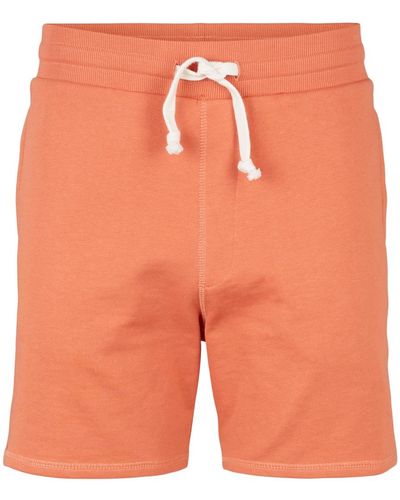 Tom Tailor DENIM Bermuda Sweatshorts - Orange