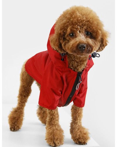 Tommy Hilfiger Dog Hooded Raincoat - Red