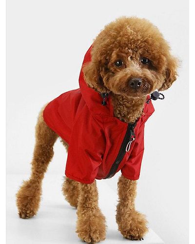 Tommy Hilfiger Chubasquero con capucha para perros - Rojo