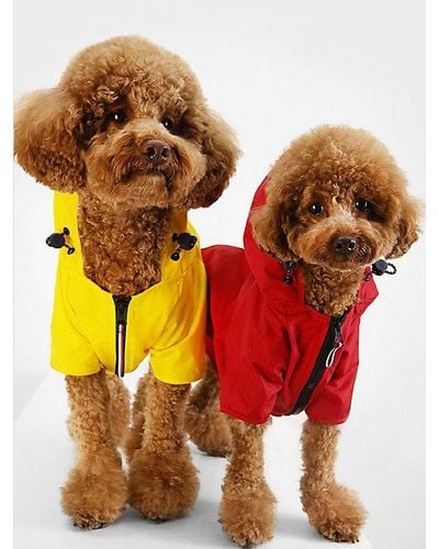 Tommy Hilfiger Chubasquero con capucha para perros - Naranja