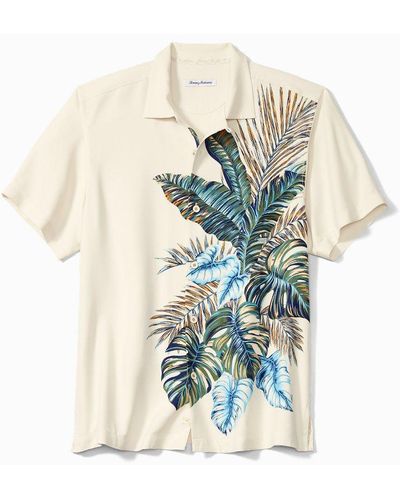 Bahama shirts for men Clearance