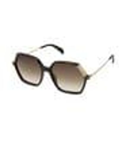 Tous Square Bear Havana Sunglasses In Black - Metallic