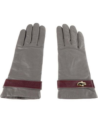 Class Roberto Cavalli Lambskin Glove - Gray