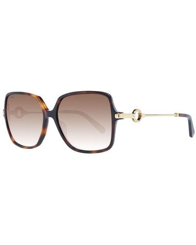 Omega Sunglasses - Brown