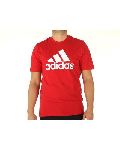 adidas Louisville Classic Polo Shirt - Red | Men's Training | adidas US
