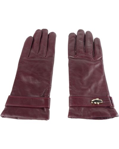 Class Roberto Cavalli Lady Glove - Cqz.001 - Purple