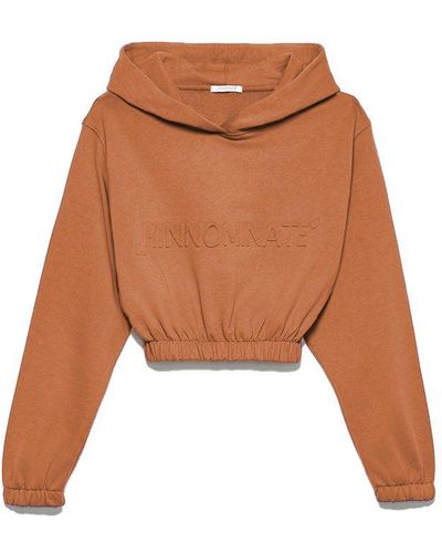 hinnominate Brown Cotton Sweater