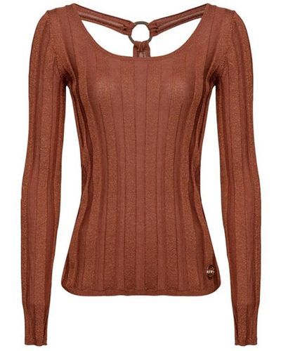 Pinko Viscose Sweater - Brown