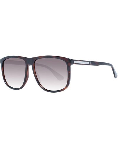 Tommy Hilfiger Sunglasses - Brown