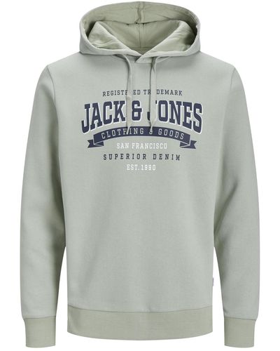 Jack & Jones Kapuzensweatshirt logo2 col hoodie mit kapuze - Grau