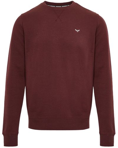 Threadbare Pullover regular fit - Rot