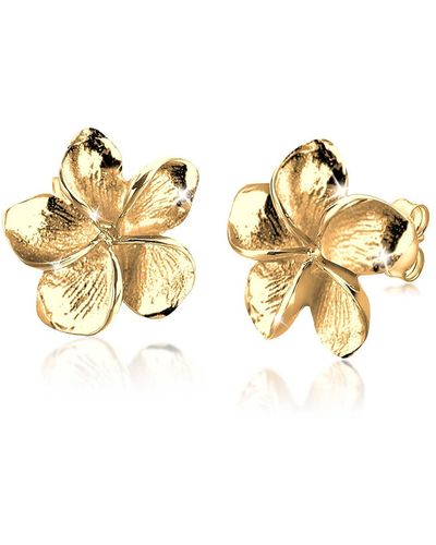 Elli Jewelry Ohrringe frangipani blüte blume blüte 925 silber - Mettallic