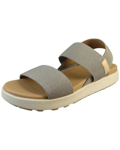 Keen Trekking-sandalen sandalen elle backstrap 1027160 brindle/birch textil/synthetik mit eva - Grau