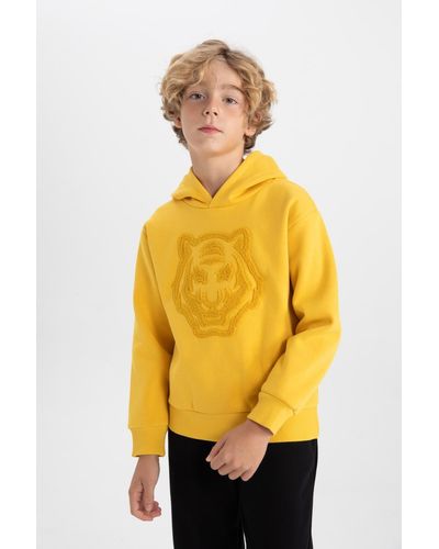 Defacto Dickes sweatshirt mit kapuze für jungen b2044a823wn - Gelb