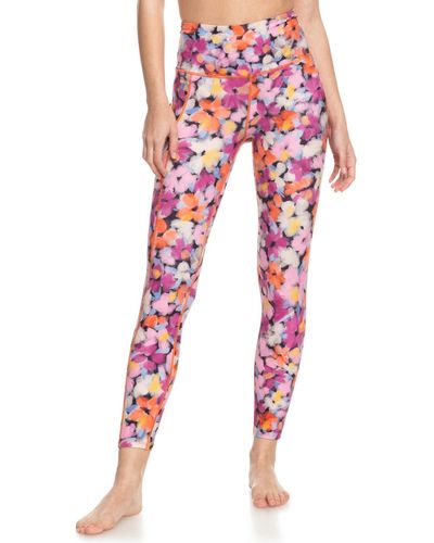 Roxy Hose tiger lily blooms - Rot