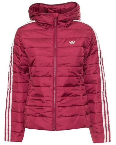 adidas Daunenjacke, , taschen, mit kapuze, lange ärmel, zweifarbig, mit logo, reißverschluss - Rot