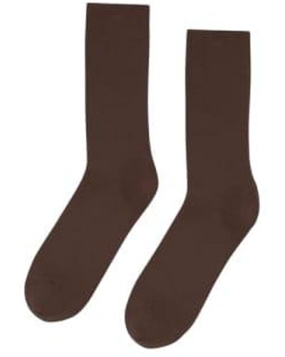 COLORFUL STANDARD Classic Organic Sock Coffee -one Size - Brown