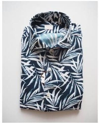 Xacus Shirt Collar Cutaway Fabric - Blu