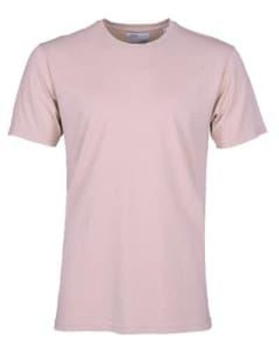 COLORFUL STANDARD T-shirt classique rose délavé