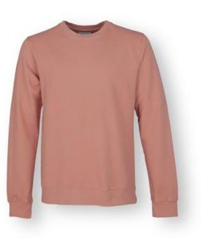 COLORFUL STANDARD Crew Sweat Rosewood Mist S - Pink
