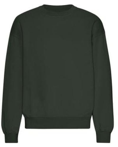 COLORFUL STANDARD Hunter Organic Oversized Crew Sweater S - Green