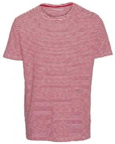 Knowledge Cotton Camiseta rayas estrechas aliso rojo - Rosa