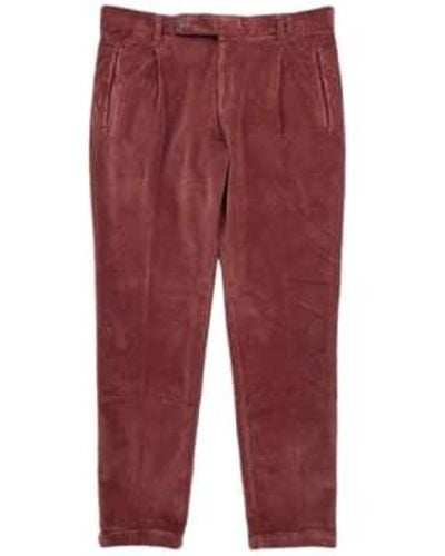 Fresh Corduroy Pleated Chino Trousers - Red