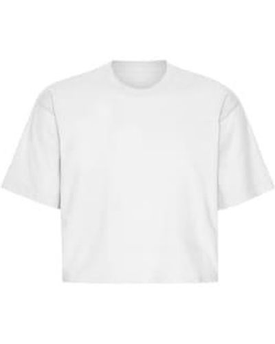 COLORFUL STANDARD Boxy Crop T-shirt Optical L - White