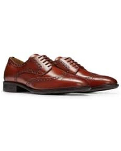 BOSS Boss – colby derby-schuhe aus leder mit brogue-details 50503609 210 - Braun